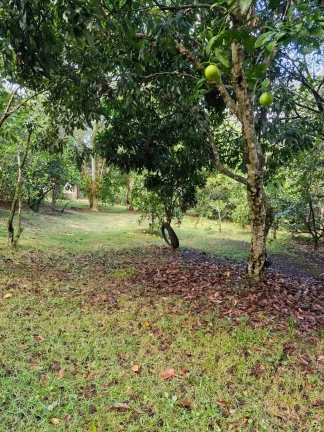 Imagem CHÁCARA COM POMAR LOCALIZADA NA CHÁCARAS REUNIDAS - PILAR DO SUL