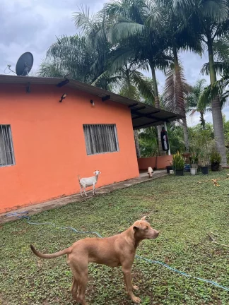Imagem Sítio em Juquiá