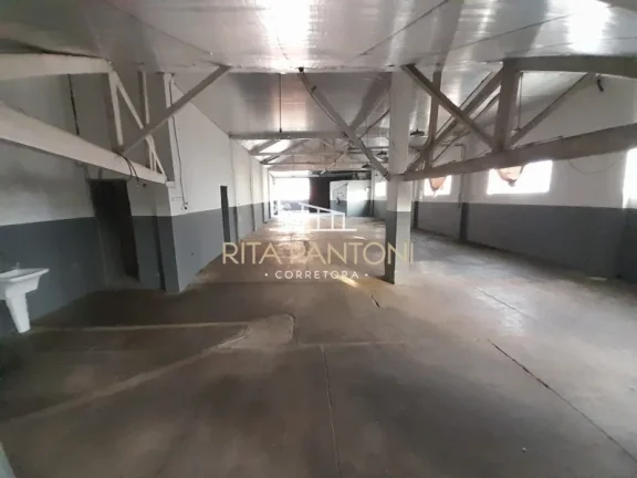 Imagem Galpão Comercial - Ribeirão Preto - Campos Elíseos - Região Norte