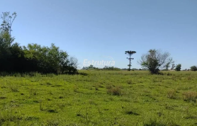 TERRENO PRÓXIMO A UFSM