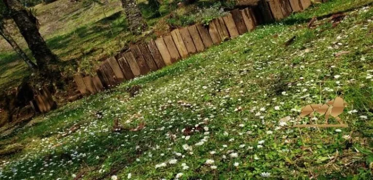 Imagem Terreno à venda, 1300 m² por R$ 1.250.000,00 - Campos Do Jordão - Campos do Jordão/SP