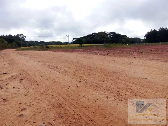 Imagem Terreno para Venda em São José dos Pinhais, Campo Largo da Roseira