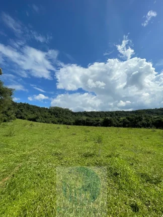 Imagem Sítio 6,5 alqueires por R$ 900.000 em São Sebastião do Paraíso - Minas Gerais.