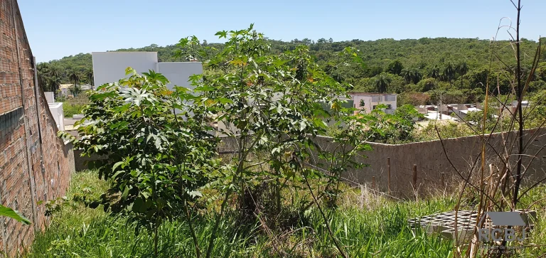 Imagem TERRENO RESIDENCIAL em ESMERALDAS - MG, FLORESTA ENCANTADA