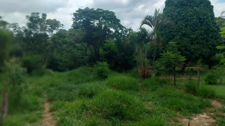 Imagem TERRENO SUPER BATATO NO BOM JARDIM COM ESCRITURA