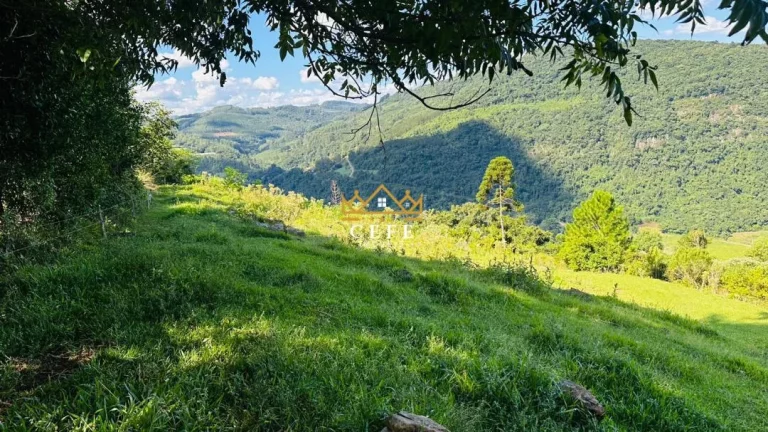 Imagem Chácara - Sítio com 2 Dormitorio(s) localizado(a) no bairro Morro Hansen em Picada Café / RIO GRANDE DO SUL Ref.:1560