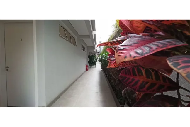 Imagem CASA RESIDENCIAL em São Paulo - SP, Aclimação