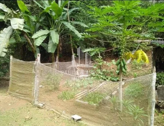 Imagem Chácara 13.000m², 6.000 Limpo, 2 Dorms 1 Suíte, Cachoeira pequena, Lago com peixe, Murada, Baia, Canil, 100 pés de Banana em Santa Rita do Ribeira, Miracatu-SP