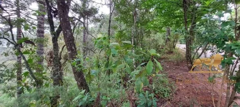 Imagem Terreno à venda, 5170 m² por R$ 350.000,00 - Descansópolis - Campos do Jordão/SP