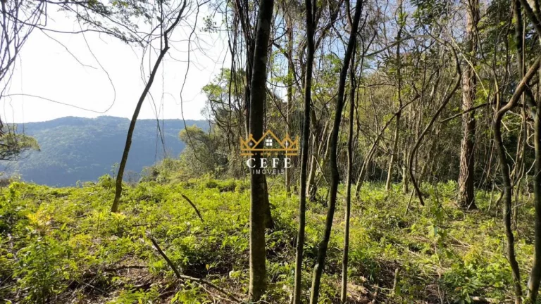 Imagem Chácara - Sítio com 2 Dormitorio(s) localizado(a) no bairro Treze Colônias em Nova Petrópolis / RIO GRANDE DO SUL Ref.:1512