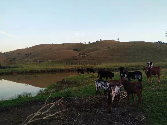 Imagem Fazenda à venda no bairro Jardim Alvorada - Jacareí/SP