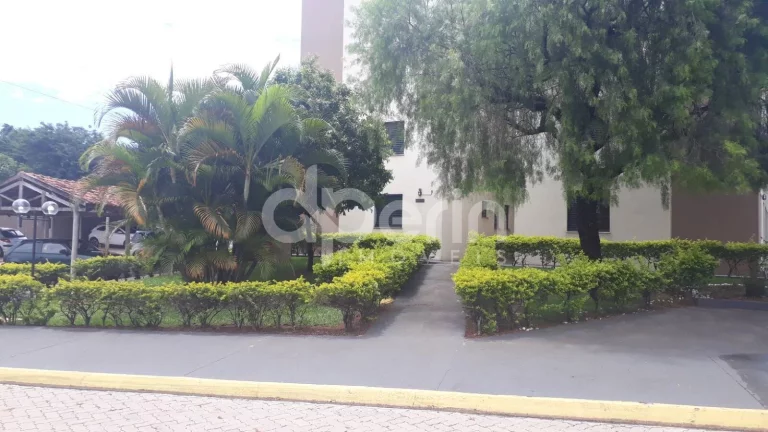 Imagem Apartamento à venda - Jockey Club