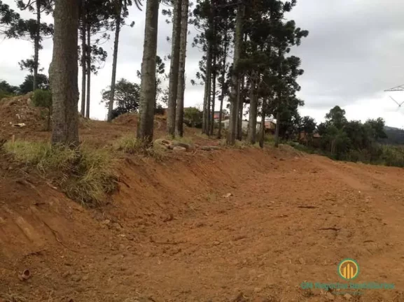 Imagem Área 2.740m² (ZIS) próx. ao centro de Cotia (Km 32 Rap. Tavares) p/ MCMV