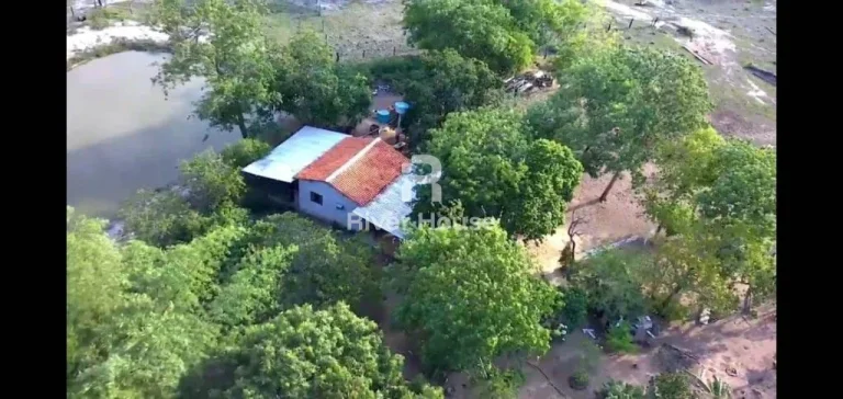 Imagem Sitio a venda Encantadora propriedade rural à venda no Acentamento 21 de Abril, Cuiabá