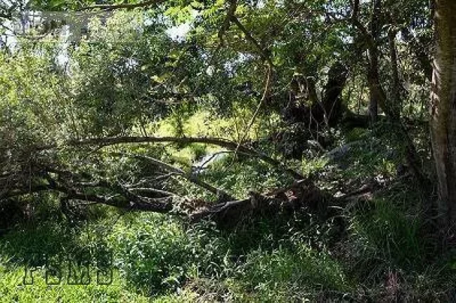 Imagem Fazenda com 145 ha para empreendimento em Indaiatuba - SP