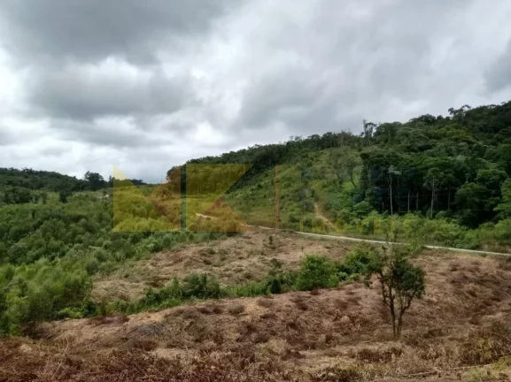 Imagem Fazenda à Venda, 90 m² em Barra Avencal - Rio Dos Cedros