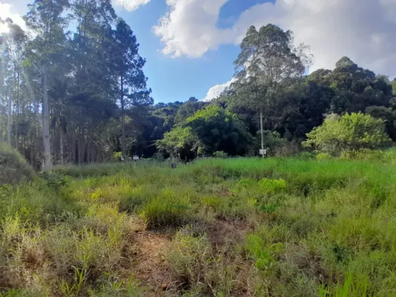Imagem Lote à venda em Barbacena, Colônia Rodrigo Silva, 2500m2
