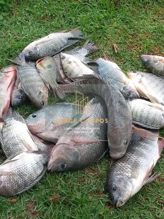 Imagem TE - 25268 - TERRENO À VENDA NO CONDOMÍNIO LAGO DOURADO - GUARAREMA / SP