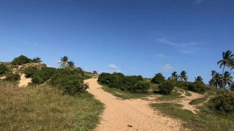 Imagem Casa na Barra dos Coqueiros: Espaço e Conforto em uma Localização Privilegiada!