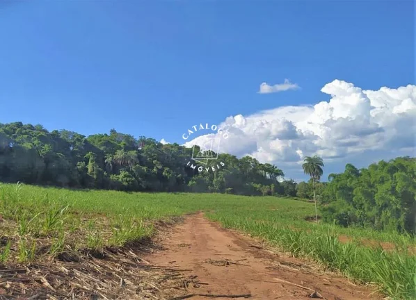 Imagem Sítio a Venda no bairro Centro - Cássia dos Coqueiros, SP