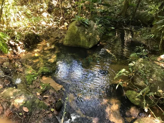 Imagem Paraty Terrenos Escriturados Front Mar
