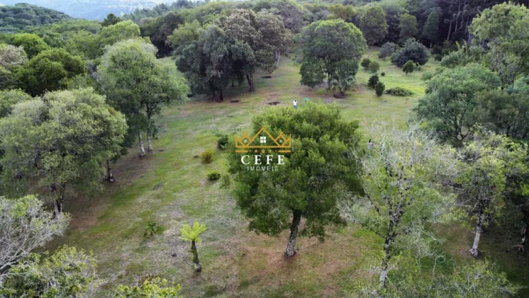 Imagem Chácara - Sítio com 2 Dormitorio(s) localizado(a) no bairro Zona Rural em Gramado / RIO GRANDE DO SUL Ref.:1432