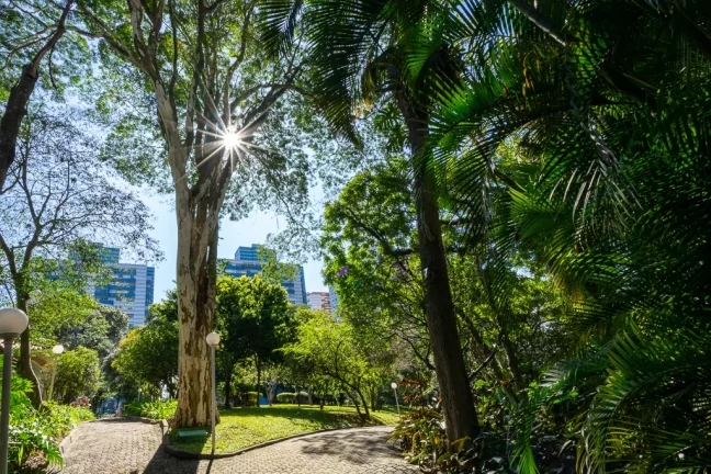 Imagem Apartamento à venda em São Paulo, Vila Morse, com 4 quartos, 225m2