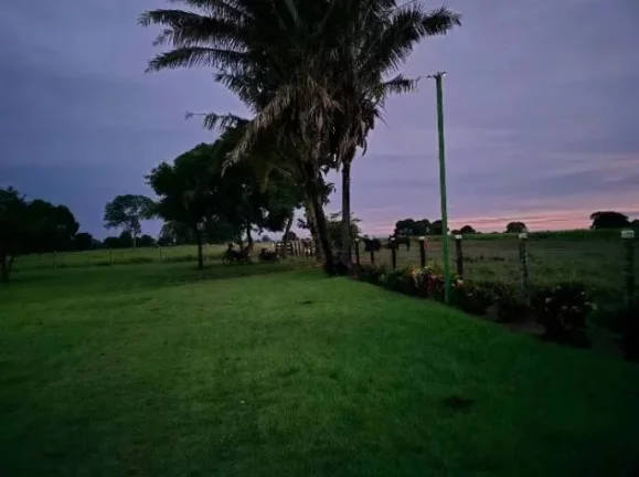 Imagem Oportunidade Única: Fazenda Espetacular à Venda! Mundo Novo GO.