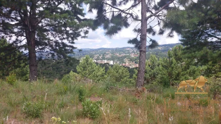 Imagem BELOS TERRENOS A VENDA EM CAMPOS DO JORDÃO-SP