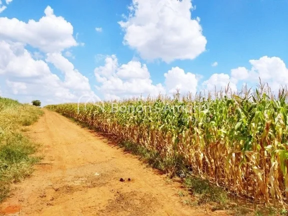 Imagem Venda, área industrial, bairro Bonfim, em Paulínia!
Zoneamento ZD 1 (zona de desenvolvimento indus...