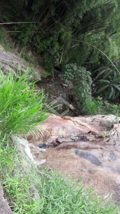 Imagem VENDO FAZENDA FICA A 25 KM DO CENTRO DE ANGRA 116 Hectares MUITA ÁGUA