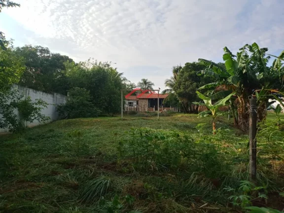 Sítio / Chácara para Venda em Sumar?(C) / SP no bairro Chácara Cruzeiro do Sul