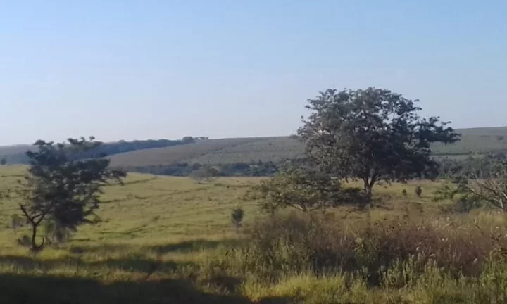 Sítio - Vende Promissão ( prox. Marília) e Região/SP