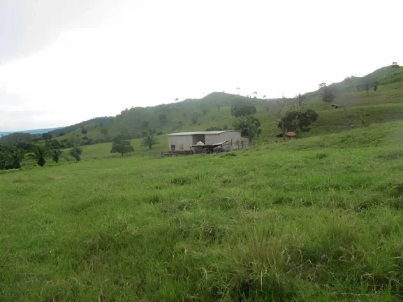 Imagem Fazenda a venda em Pontes e Lacerda - MT