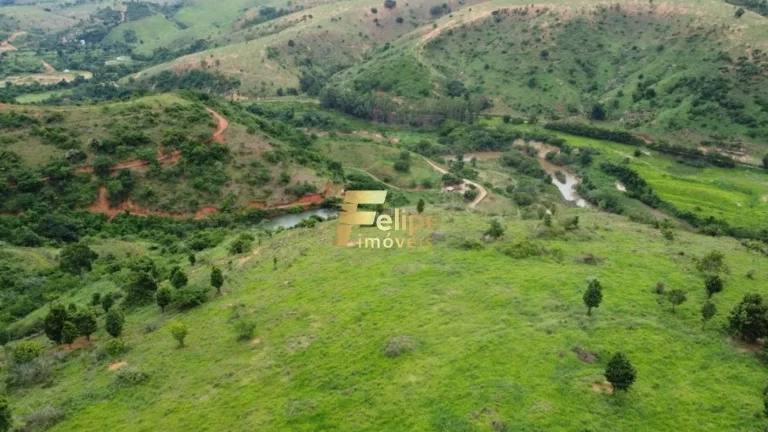 Imagem Fazenda 55 alqueires escriturada produtiva com muita água em Colatina.