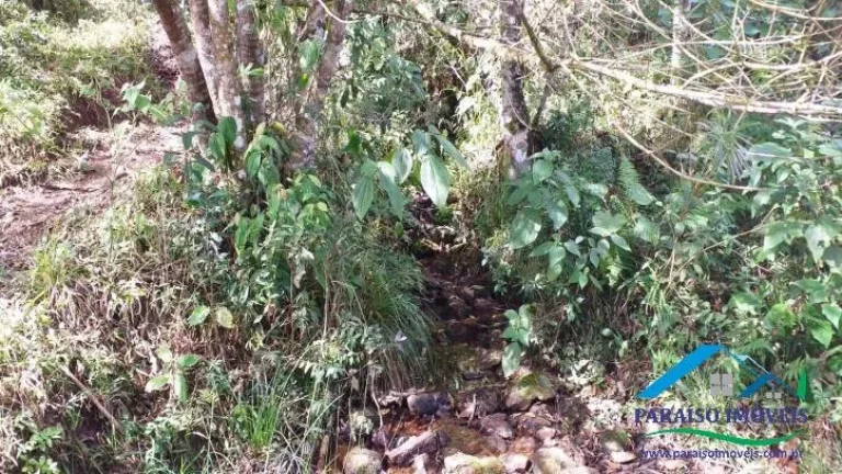 Imagem Paraíso para amantes da natureza: Terreno com cachoeira em Gonçalves!
