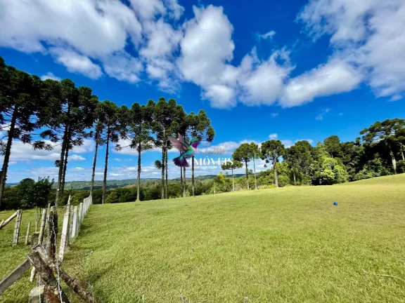 Imagem Chácara à venda no bairro Ana Rech - Caxias do Sul/RS