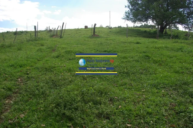 Imagem Sítio 14 alqueires com estrutura, casa, água e energia, R$ 90.000,00 valor do alqueire - Jacuí - Minas Gerais