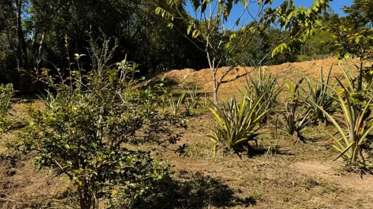 Imagem Terreno à venda, 2 m² por R$ 270.000,00 - Centro - Igaratá/SP