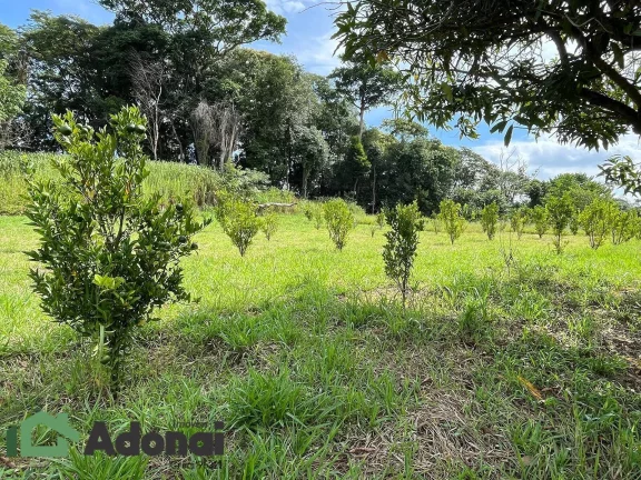 Imagem LINDO SÍTIO UM PEDACINHO DO PARAISO NO BAIRRO TRAVIÚ EM JUNDIAI