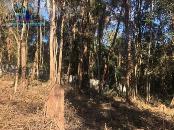 Imagem TERRENO 500 m² DENTRO DE CONDOMÍNIO FECHADO.

Área com 20 metros de frente, e com vegetação sec...