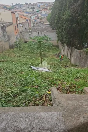 Imagem Terreno Padrão