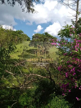 Imagem SI-25192- SÍTIO À VENDA EM IGARATÁ-SP