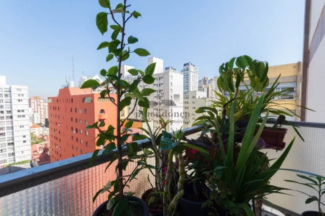 Imagem Apartamento amplo em uma das ruas mais cobiçadas de Pinheiros! Reformado, com 4 dormitórios sendo ...