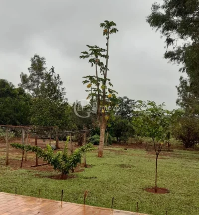 Imagem Excelente Chácara, 15.5 Ha, formada,