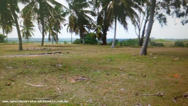 Imagem Fazenda para Venda em Extremoz, capim -extremoz, 3 dormitórios, 1 suíte, 2 banheiros, 6 vagas