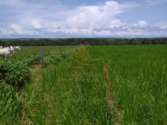Imagem Fazenda - Guaraí - Guaraí