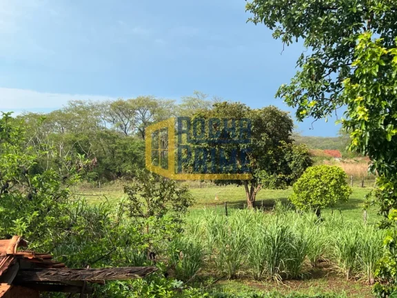 Imagem CHACARA RURAL em ILHA SOLTEIRA - SP, Zona Rural