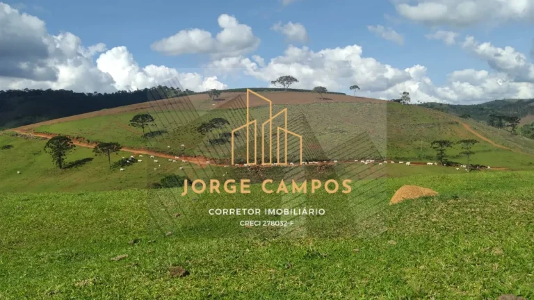 Imagem FA-25259 - FAZENDA À VENDA SUL DE MINAS GERAIS