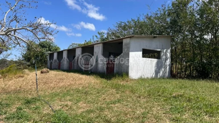 Imagem Chacara a venda completa e produtiva em Sao jose de mipibu